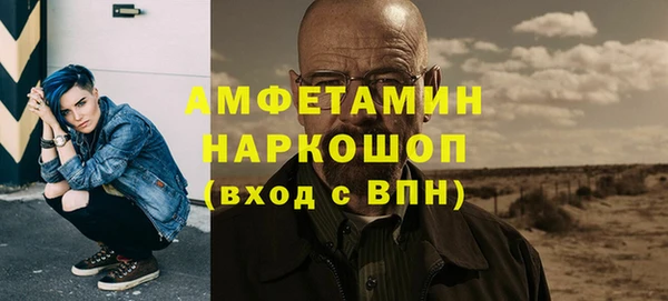 гидра Арсеньев