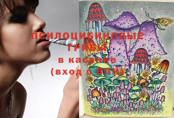 дурь Алзамай