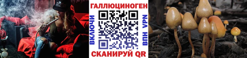 Псилоцибиновые грибы Cubensis где продают наркотики Котлас