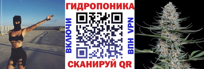 Каннабис семена  Котлас 